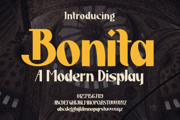 Bonita Font: A Bold Tool for Modern Branding