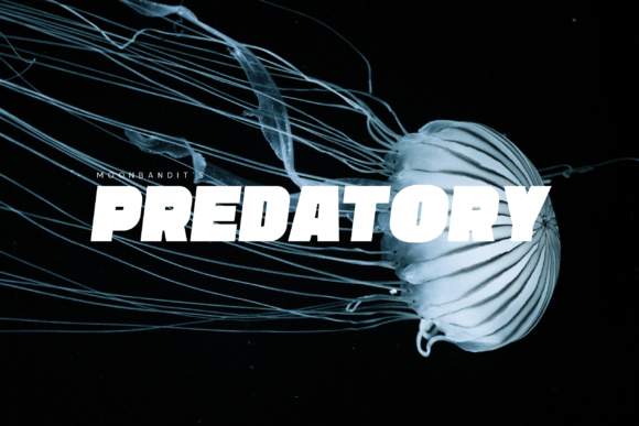Predatory: Bold Display Font for Sport & Branding